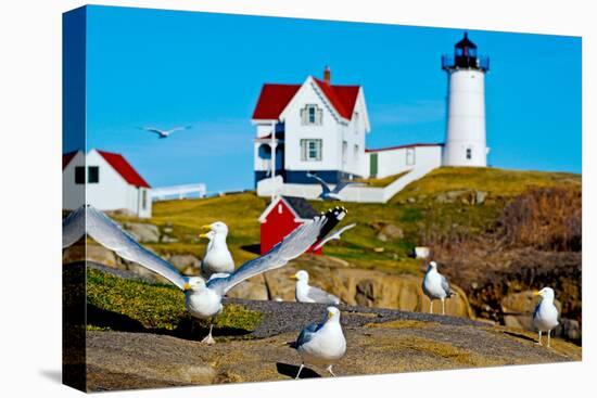 Seagulls at Nubble Lighthouse, Cape Neddick, York, Maine, USA-null-Stretched Canvas