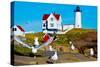 Seagulls at Nubble Lighthouse, Cape Neddick, York, Maine, USA-null-Stretched Canvas