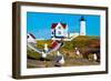 Seagulls at Nubble Lighthouse, Cape Neddick, York, Maine, USA-null-Framed Photographic Print