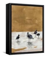 Seagulls Chillin'-Lanie Loreth-Framed Stretched Canvas