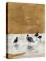 Seagulls Chillin'-Lanie Loreth-Stretched Canvas