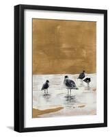 Seagulls Chillin'-Lanie Loreth-Framed Art Print