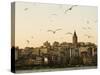 Seagulls Flock Above the Golden Horn, Istanbul, with the Galata Tower in the Background-Julian Love-Stretched Canvas