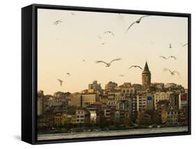 Seagulls Flock Above the Golden Horn, Istanbul, with the Galata Tower in the Background-Julian Love-Framed Stretched Canvas