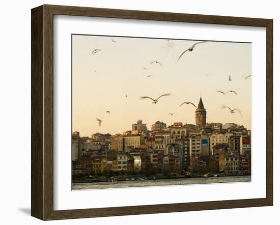 Seagulls Flock Above the Golden Horn, Istanbul, with the Galata Tower in the Background-Julian Love-Framed Photographic Print