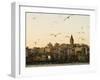 Seagulls Flock Above the Golden Horn, Istanbul, with the Galata Tower in the Background-Julian Love-Framed Photographic Print