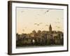 Seagulls Flock Above the Golden Horn, Istanbul, with the Galata Tower in the Background-Julian Love-Framed Photographic Print