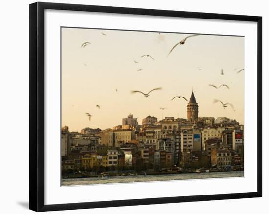 Seagulls Flock Above the Golden Horn, Istanbul, with the Galata Tower in the Background-Julian Love-Framed Photographic Print