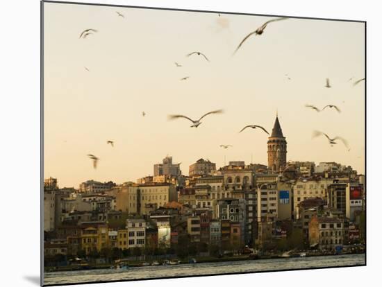 Seagulls Flock Above the Golden Horn, Istanbul, with the Galata Tower in the Background-Julian Love-Mounted Photographic Print