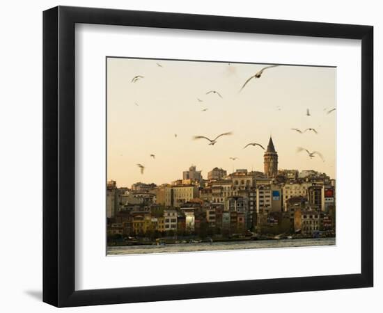 Seagulls Flock Above the Golden Horn, Istanbul, with the Galata Tower in the Background-Julian Love-Framed Photographic Print