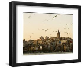 Seagulls Flock Above the Golden Horn, Istanbul, with the Galata Tower in the Background-Julian Love-Framed Photographic Print