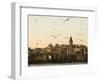 Seagulls Flock Above the Golden Horn, Istanbul, with the Galata Tower in the Background-Julian Love-Framed Photographic Print