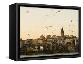 Seagulls Flock Above the Golden Horn, Istanbul, with the Galata Tower in the Background-Julian Love-Framed Stretched Canvas