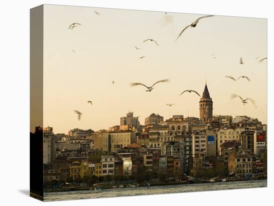 Seagulls Flock Above the Golden Horn, Istanbul, with the Galata Tower in the Background-Julian Love-Stretched Canvas