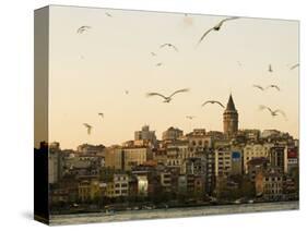 Seagulls Flock Above the Golden Horn, Istanbul, with the Galata Tower in the Background-Julian Love-Stretched Canvas