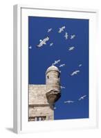 Seagulls Flying Above Turret of the Old Fort-Stuart Black-Framed Photographic Print