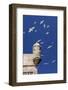 Seagulls Flying Above Turret of the Old Fort-Stuart Black-Framed Photographic Print