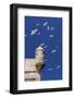 Seagulls Flying Above Turret of the Old Fort-Stuart Black-Framed Photographic Print