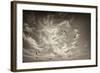 Seagulls in the Air-Tim Kahane-Framed Photographic Print