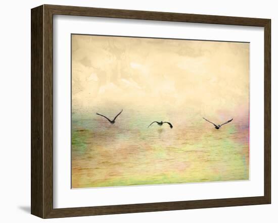 Seagulls in the Sky I-Ynon Mabat-Framed Art Print
