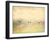 Seagulls in the Sky I-Ynon Mabat-Framed Art Print