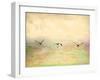 Seagulls in the Sky I-Ynon Mabat-Framed Art Print