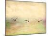 Seagulls in the Sky I-Ynon Mabat-Mounted Art Print