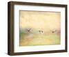 Seagulls in the Sky I-Ynon Mabat-Framed Art Print