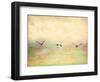 Seagulls in the Sky I-Ynon Mabat-Framed Art Print