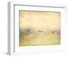 Seagulls in the Sky I-Ynon Mabat-Framed Art Print