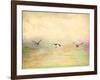 Seagulls in the Sky I-Ynon Mabat-Framed Art Print