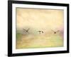 Seagulls in the Sky I-Ynon Mabat-Framed Art Print