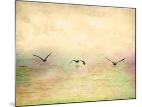 Seagulls in the Sky I-Ynon Mabat-Mounted Art Print