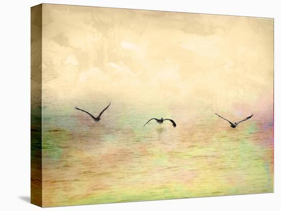 Seagulls in the Sky I-Ynon Mabat-Stretched Canvas