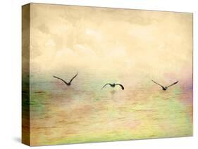 Seagulls in the Sky I-Ynon Mabat-Stretched Canvas