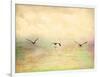 Seagulls in the Sky I-Ynon Mabat-Framed Art Print