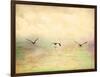 Seagulls in the Sky I-Ynon Mabat-Framed Art Print