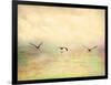 Seagulls in the Sky I-Ynon Mabat-Framed Art Print