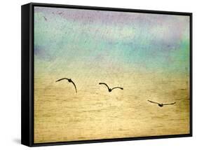 Seagulls in the Sky II-Ynon Mabat-Framed Stretched Canvas
