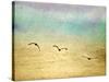 Seagulls in the Sky II-Ynon Mabat-Stretched Canvas