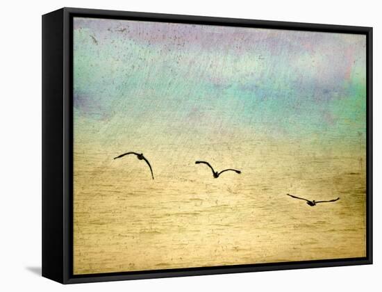 Seagulls in the Sky II-Ynon Mabat-Framed Stretched Canvas