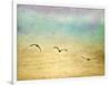 Seagulls in the Sky II-Ynon Mabat-Framed Art Print