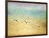 Seagulls in the Sky II-Ynon Mabat-Framed Art Print