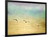 Seagulls in the Sky II-Ynon Mabat-Framed Art Print