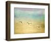 Seagulls in the Sky II-Ynon Mabat-Framed Art Print