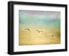 Seagulls in the Sky II-Ynon Mabat-Framed Art Print