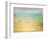 Seagulls in the Sky II-Ynon Mabat-Framed Art Print