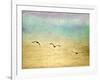 Seagulls in the Sky II-Ynon Mabat-Framed Art Print