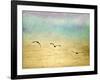 Seagulls in the Sky II-Ynon Mabat-Framed Art Print