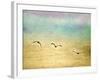 Seagulls in the Sky II-Ynon Mabat-Framed Art Print